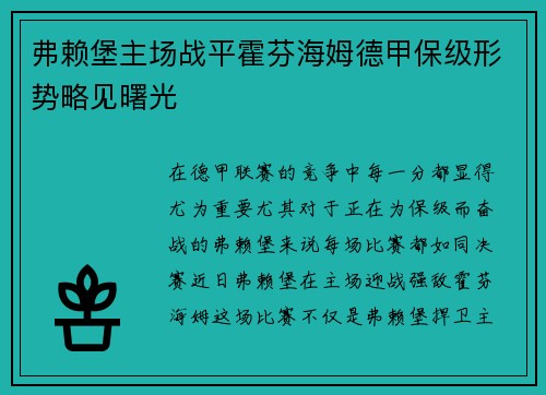 弗赖堡主场战平霍芬海姆德甲保级形势略见曙光