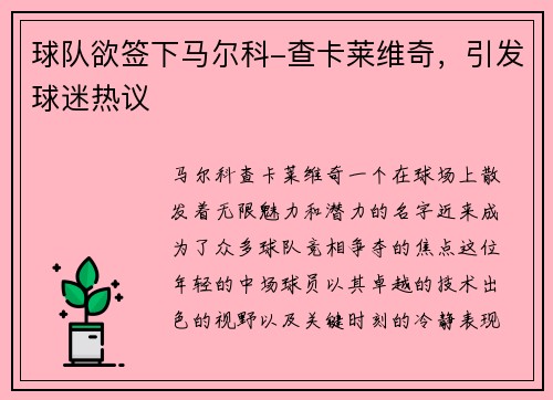 球队欲签下马尔科-查卡莱维奇，引发球迷热议