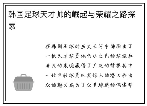 韩国足球天才帅的崛起与荣耀之路探索